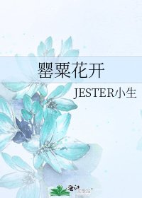 罂粟花开