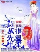 潜婚蜜爱，总裁先生很温柔